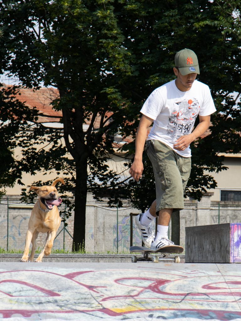 lampu skate plaza gallery