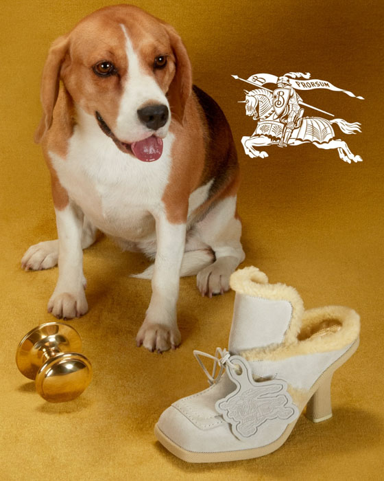 burberry campaign