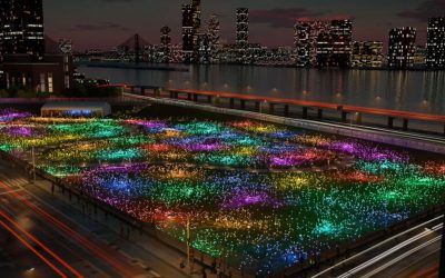 Field of Light illumina New York