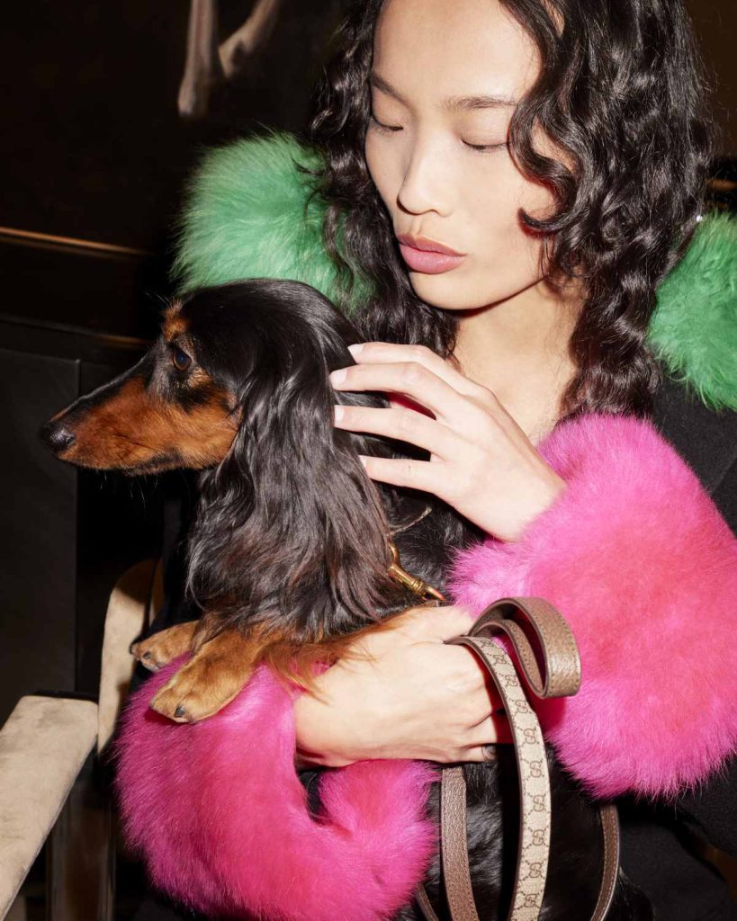 Gucci holiday 