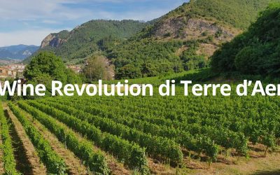 Terre d’Aenòr: la Wine Revolution di Eleonora Bianchi