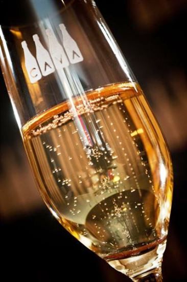 Adl Travel Guide: Barcellona Edition