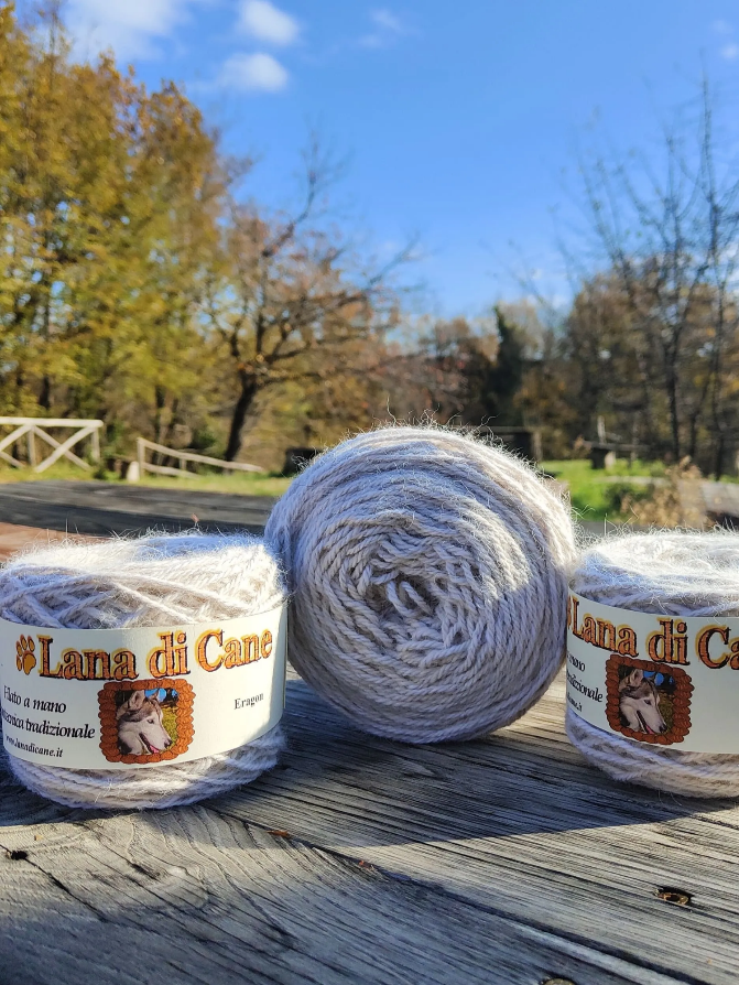 lana di cane