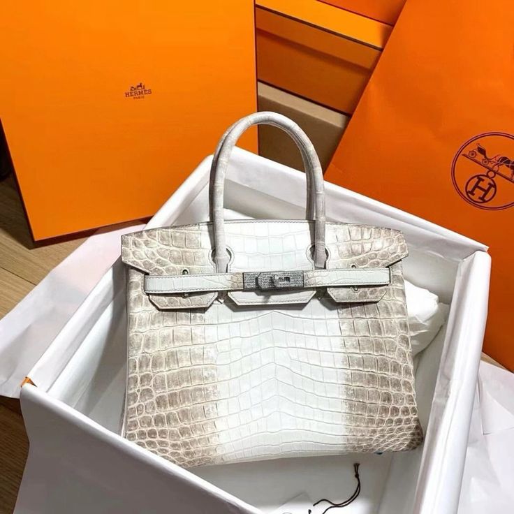 Borsa Birkin Himalaya Diamond del brand Hermès