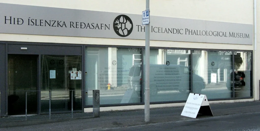 Il Museo Fallologico islandese - Tutto fa “cultura”