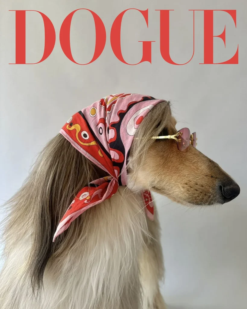 Chic dogs