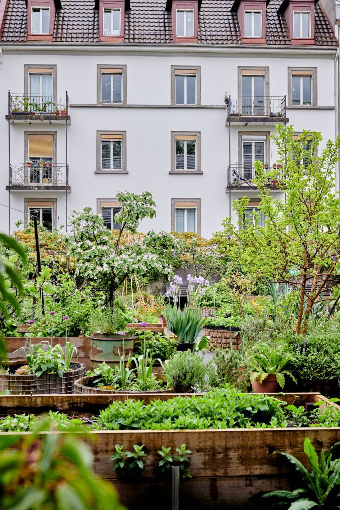 Orto biologico del ristorante "The Artisan" situato a Zurigo