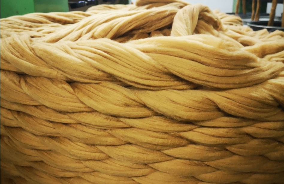 Fibra di vigogna creata dal gruppo Schneider, leader del progetto SANIN che protegge la specie