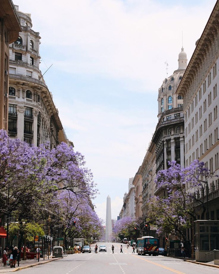 Strada di Buenos Aires inondata da jacaranda