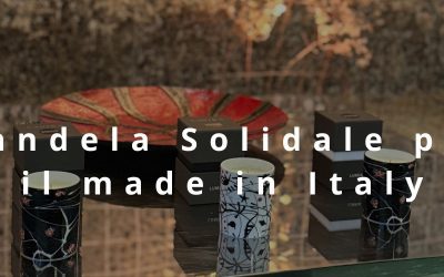 Lávika, Schola e Fondazione Sozzani