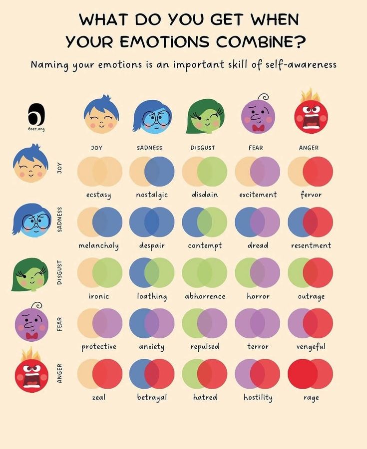 Grafico che rappresenta i diversi tipi di emozioni.