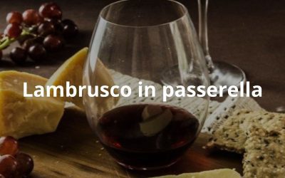 Il vino pop che conquista la moda