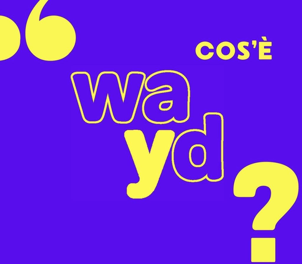 Immagine di lancio del progetto Wayd.