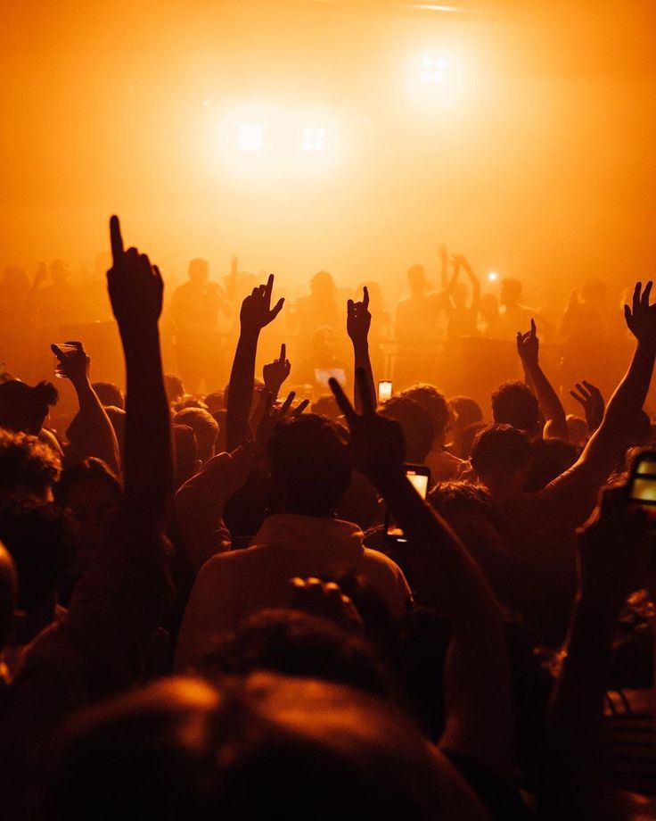 Immagine di persone ad un concerto.