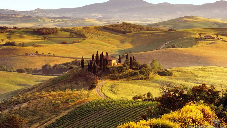 Toscana scenario del film Non è un Paese per single