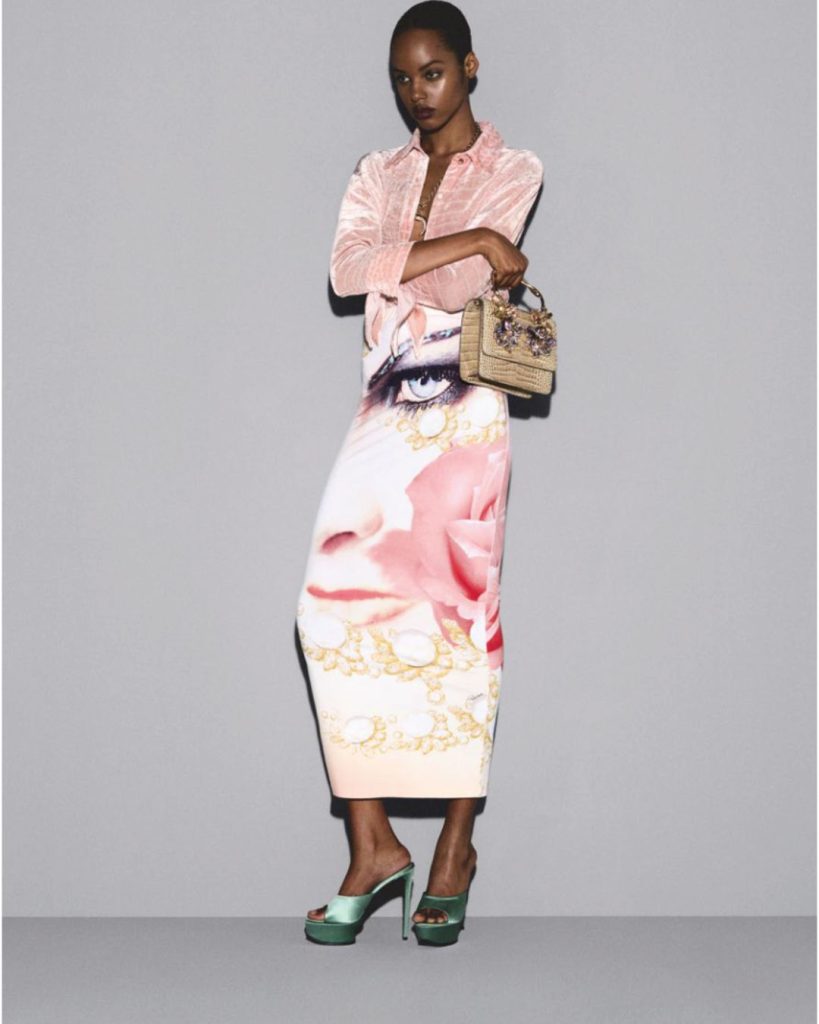 CAVALLI 6