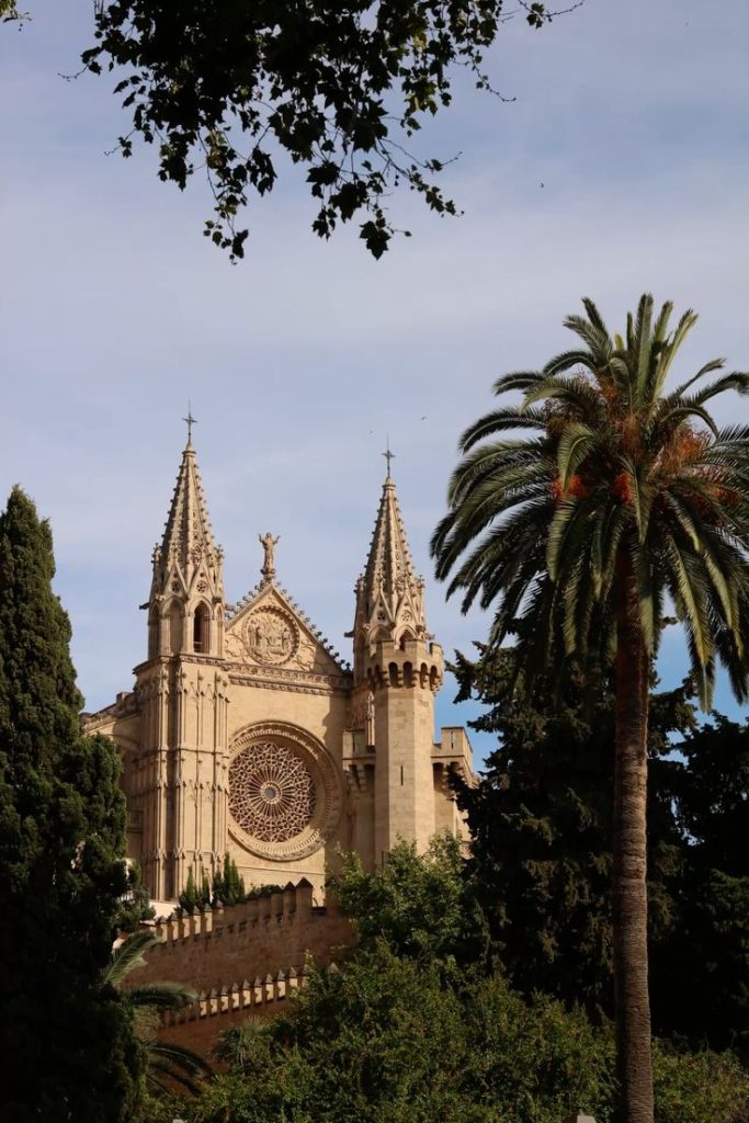 Palma