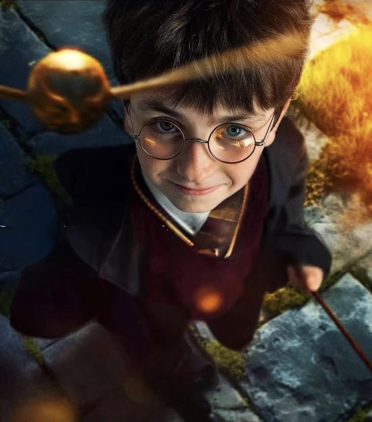 Harry Potter la serie