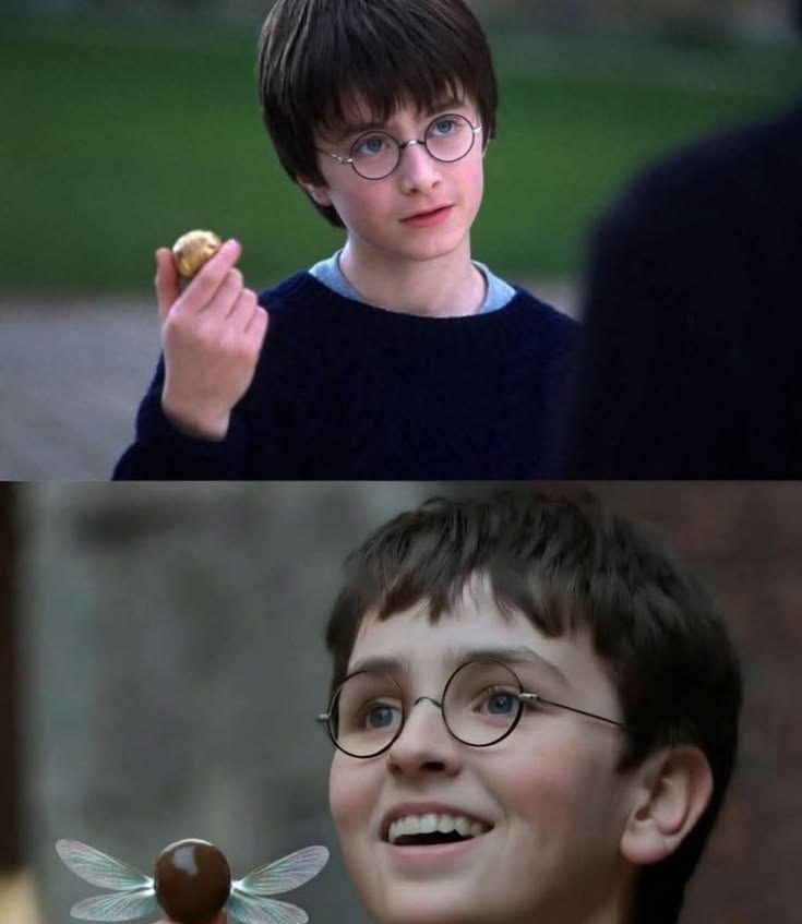 Harry Potter film vs Serie HBO Max